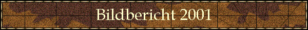 Bildbericht 2001