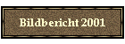 Bildbericht 2001