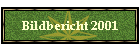 Bildbericht 2001