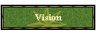 Vision